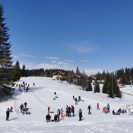Apartmani Suncani Breg Tara Mitrovac Buitenkant foto