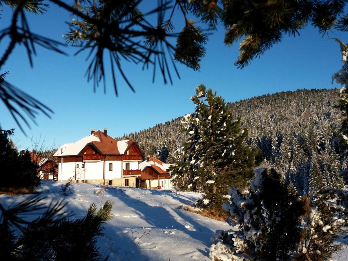 Apartmani Suncani Breg Tara Mitrovac Buitenkant foto