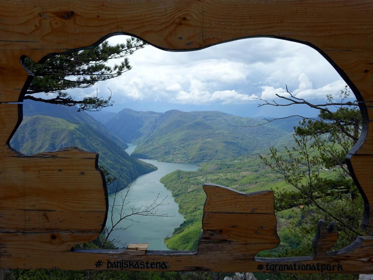 Apartmani Suncani Breg Tara Mitrovac Buitenkant foto