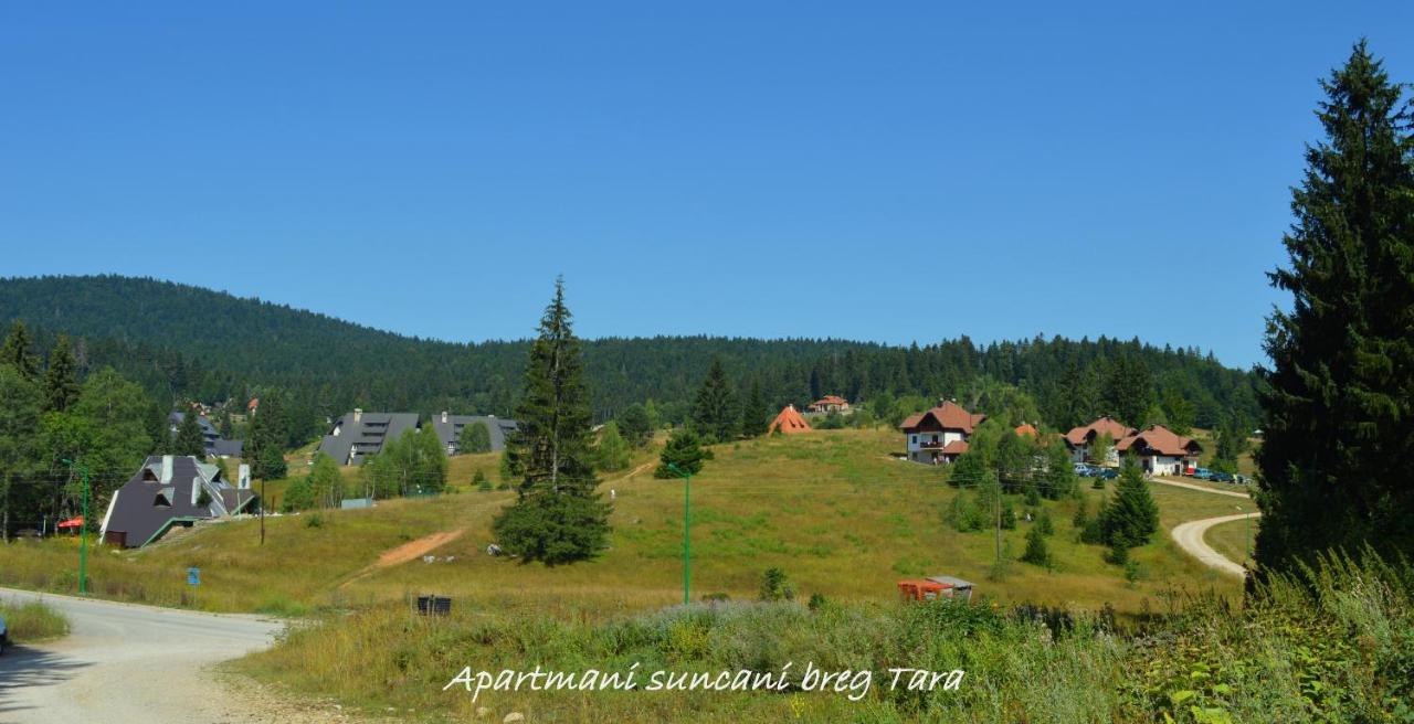 Apartmani Suncani Breg Tara Mitrovac Buitenkant foto
