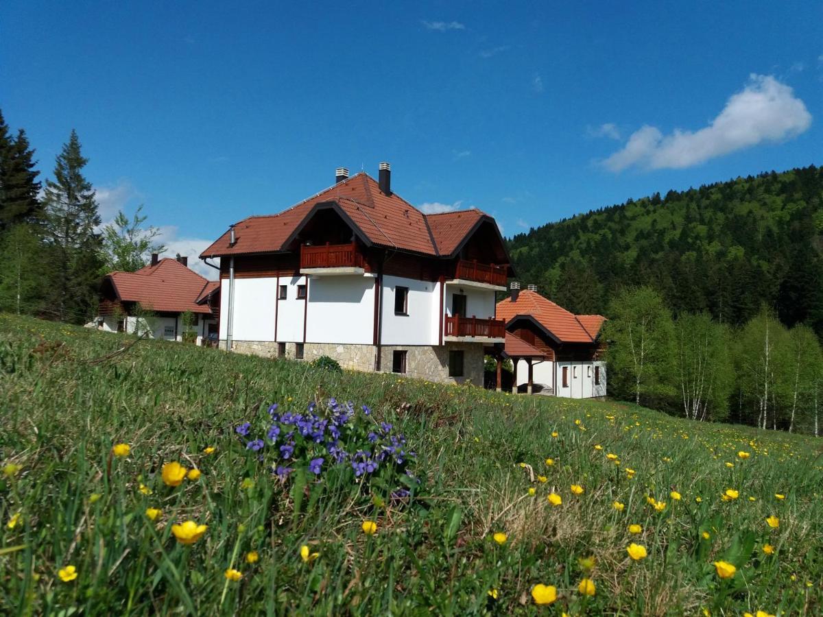 Apartmani Suncani Breg Tara Mitrovac Buitenkant foto